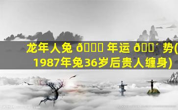 龙年人兔 💐 年运 🌴 势(1987年兔36岁后贵人缠身)